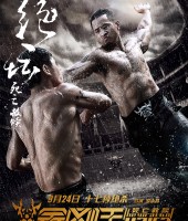 The Wrath of Vajra (2013)