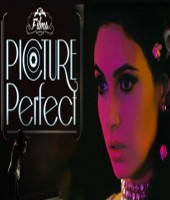 Picture Perfect (2014)