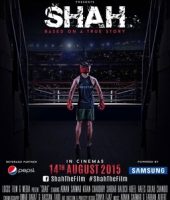 Shah (2015)