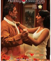 Wedding Anniversary (2017)