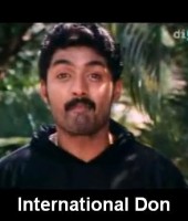 International Don
