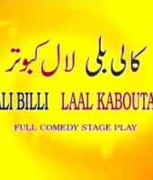 Kali Billi Laal Kabotar