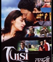 Tulsi