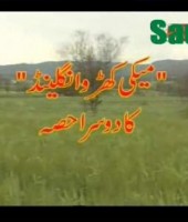 chan mahra chariyah