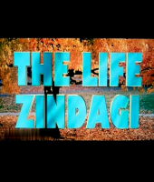 The Life Zindagi