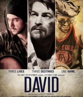 David (2013)