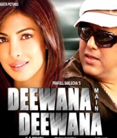 Deewana Main Deewana (2013)