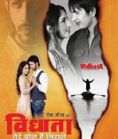 Vidhata - Tere kHel Nirale (2013)