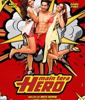 Main Tera Hero (2014)