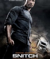 Snitch (2013)
