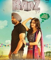 Baaz (2014)