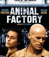Animal Factory (2000)