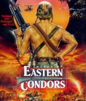Eastern Condors (1987)