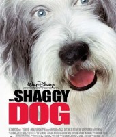 The Shaggy Dog (2006)