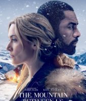 The Mountain Between Us (2017)