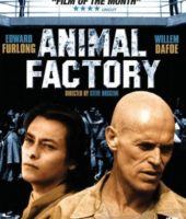 Animal Factory (2000)
