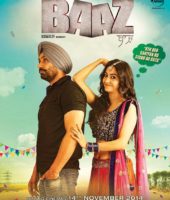 Baaz (2014)