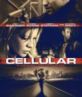 Cellular