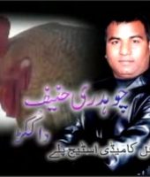 Chaudhary Hanif Da Kukar