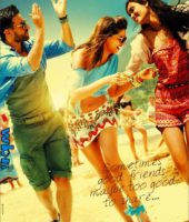 Cocktail (2012)