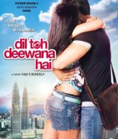 Dil Toh Deewana Hai (2016)