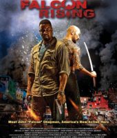 Falcon Rising (2014)