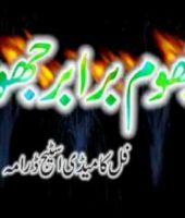 Jhoom Barabar Jhoom