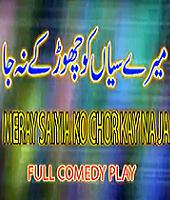 MERAY SAIYIAN KO CHOR KAY NA JA