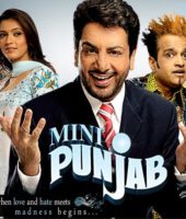 Mini Punjab