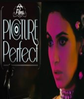 Picture Perfect (2014)