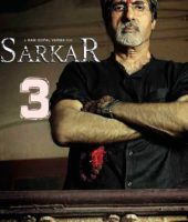Sarkar 3 (2017)