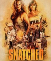 Snatched (2017)