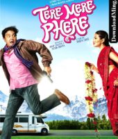 Tere Mere Phere (2011)