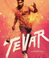 Tevar (2015)
