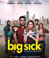 The Big Sick (2017)