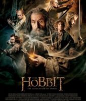 The Hobbit The Desolation of Smaug (2013)