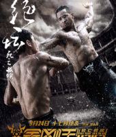 The Wrath of Vajra (2013)