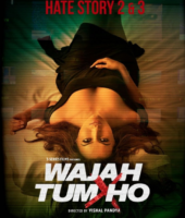 Wajah Tum Ho (2016)