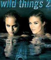 Wild Things 2 (2004)