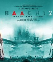 Baaghi 2 (2018)