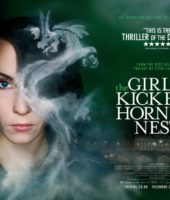The Girl Who Kicked The Hornets Nest (2009)