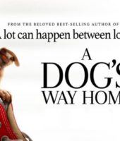 A Dogs Way Home (2019)